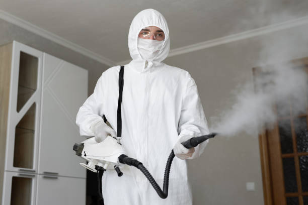 Professional Mold Removal & Remediation in Coldstream, KY